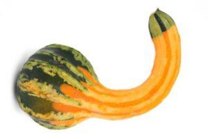 Causas de la Peyronie