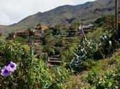 Norte Tenerife: cara salvaje isla
