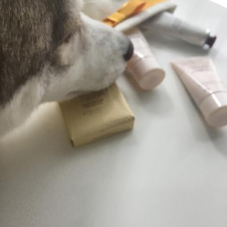 TERRE DE LUMIÉRE / L'occitane