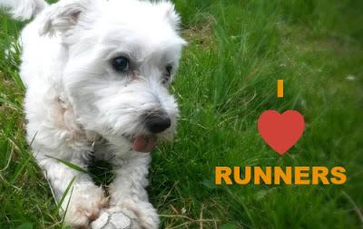 MedRunning se toma un descanso. Hasta pronto.