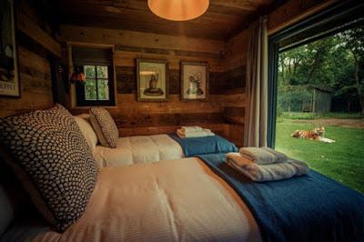 Cabana Rustica Selvatica en Kent