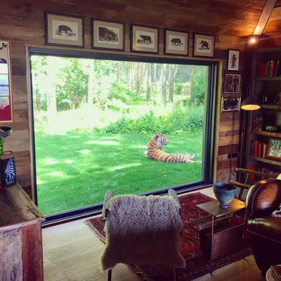 Cabana Rustica Selvatica en Kent