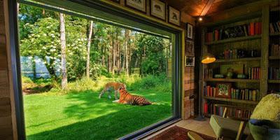 Cabana Rustica Selvatica en Kent