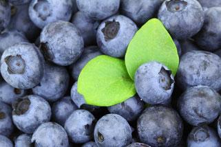 Alimentos para tu circulación