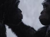 guerra planeta simios, final trilogía