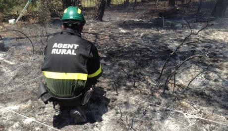 Incendio en la urbanización Mas del Plata