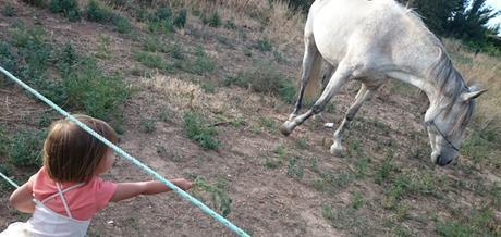 Animales y niños: creciendo juntos