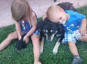 Animales niños: creciendo juntos