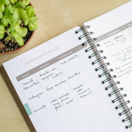 Cómo planificar el huerto