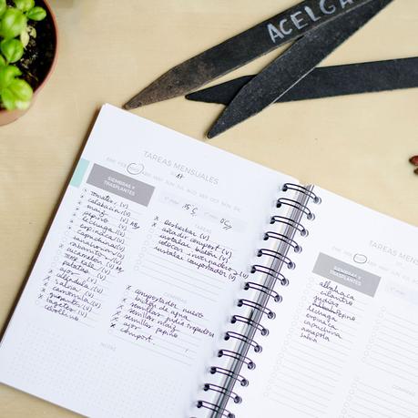 Cómo planificar el huerto