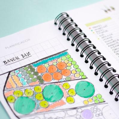 Cómo planificar el huerto