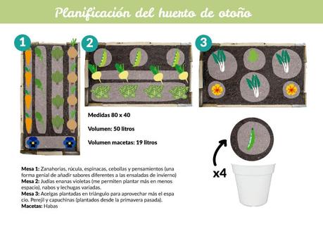 Cómo planificar el huerto