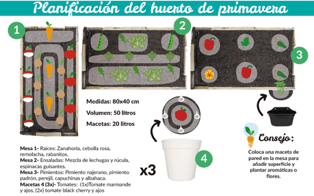 Cómo planificar el huerto