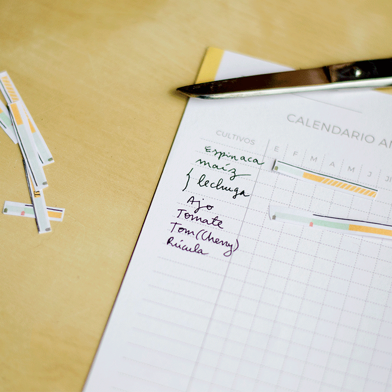 Cómo planificar el huerto