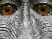 derechos autor inteligencia artificial podrían comenzar esta fotografía