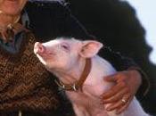 actor James Cromwell, rebelde causa.