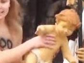 psicóticas Femen interrumpen concierto Woody Allen Hamburgo