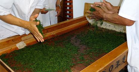 Tiramisú de Té Matcha