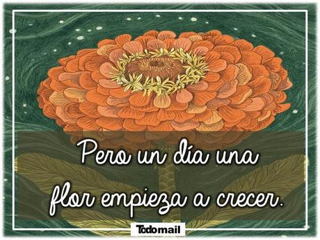 EL PEQUEÑO JARDINERO
