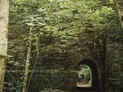 Imprescindibles visita Escocia (11). Hermitage bosque hadas gnomos