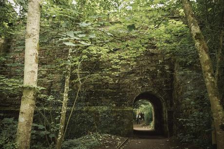 Imprescindibles en tu visita a Escocia (11). The Hermitage un bosque de hadas y gnomos