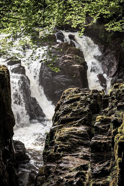 Imprescindibles en tu visita a Escocia (11). The Hermitage un bosque de hadas y gnomos