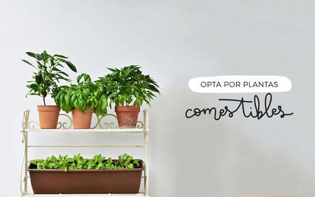 Julio sin plástico: Las plantas y el jardín Julio sin plástico: Las plantas y el jardín