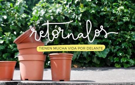 Julio sin plástico: Las plantas y el jardín Julio sin plástico: Las plantas y el jardín