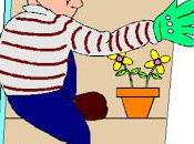 Toallas, artículo lujo