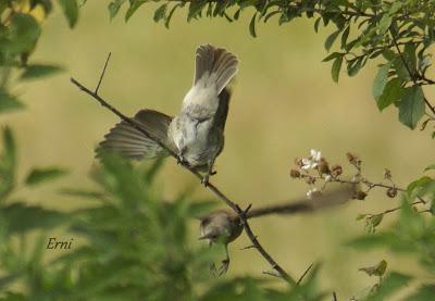EL MES DE LA JUVENTUD