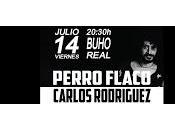 Perro Flaco Carlos Rodriguez Búho Real