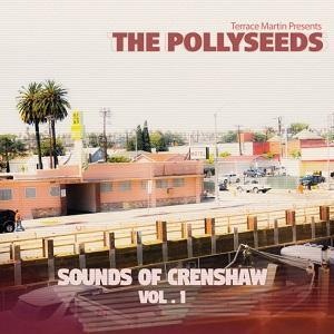 Terrace Martin Presents The Pollyseeds Sounds of Crenshaw