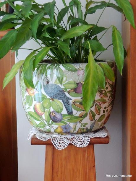 ¿Cotorras por estos lares?