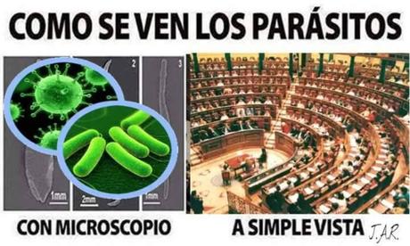 Las autonomías: criaderos de parásitos en España