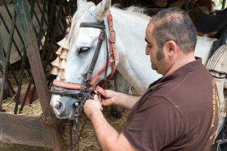 Sony A9, análisis: preparada para reinar a toda velocidad Sonya9 00606