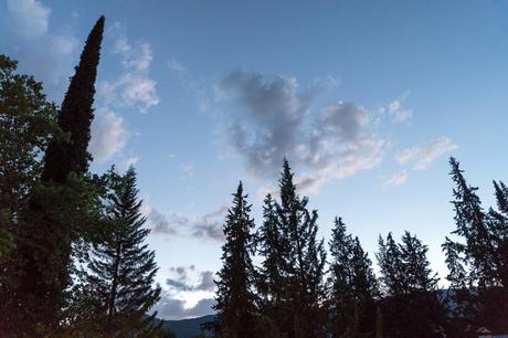 Sony A9, análisis: preparada para reinar a toda velocidad Sonya9 01970