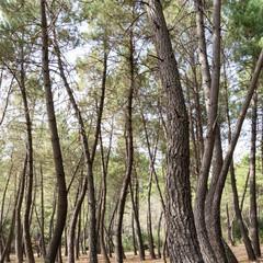 Sony A9, análisis: preparada para reinar a toda velocidad image01