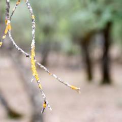 Sony A9, análisis: preparada para reinar a toda velocidad image01