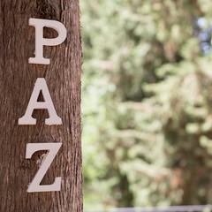 Sony A9, análisis: preparada para reinar a toda velocidad image01