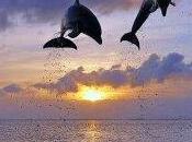 Comenzando nuevo, reinventándome...