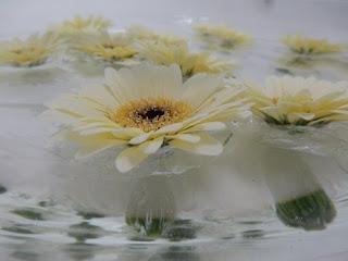 Peceras para tu mesa con flores flotantes- truco casero