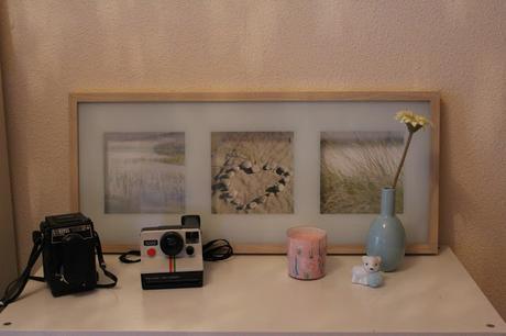 Decoración DIY: láminas de cactus