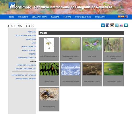 Finalista del concurso Montphoto 2017