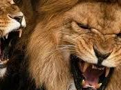 Soñar rugidos: Hazte oír.