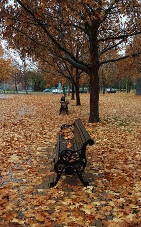 Banco en otoño Banco en otoño