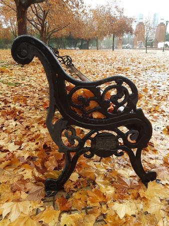 Banco en otoño Banco en otoño