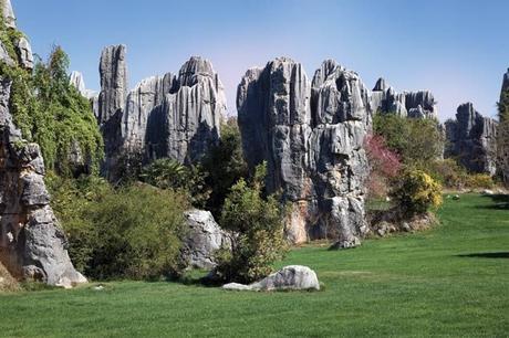 Bosques, paisajes de China.