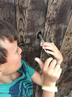 Excursión de un día en Buñol.