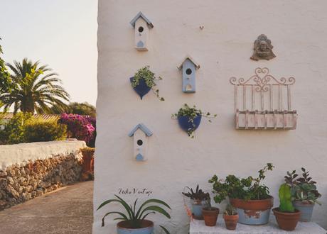 CÓMO PONER BONITO UN RINCÓN DE EXTERIOR CON PLANTAS