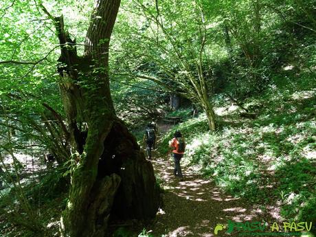 Pasada del Picayo: Entrando en el área recreativa